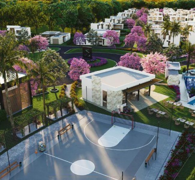 Living - zonas sociales piscina